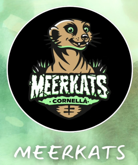 MEERKATS