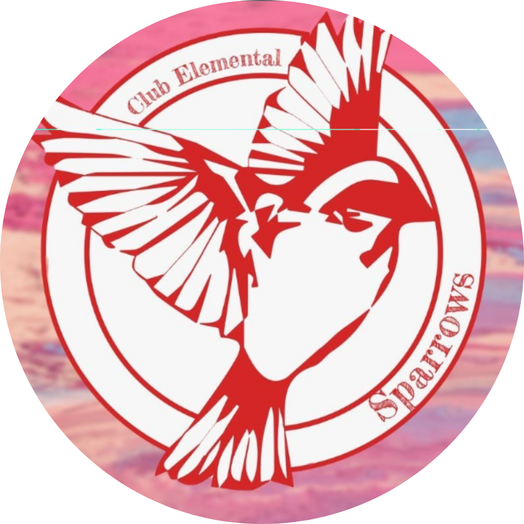 SPARROWS ZARAGOZA