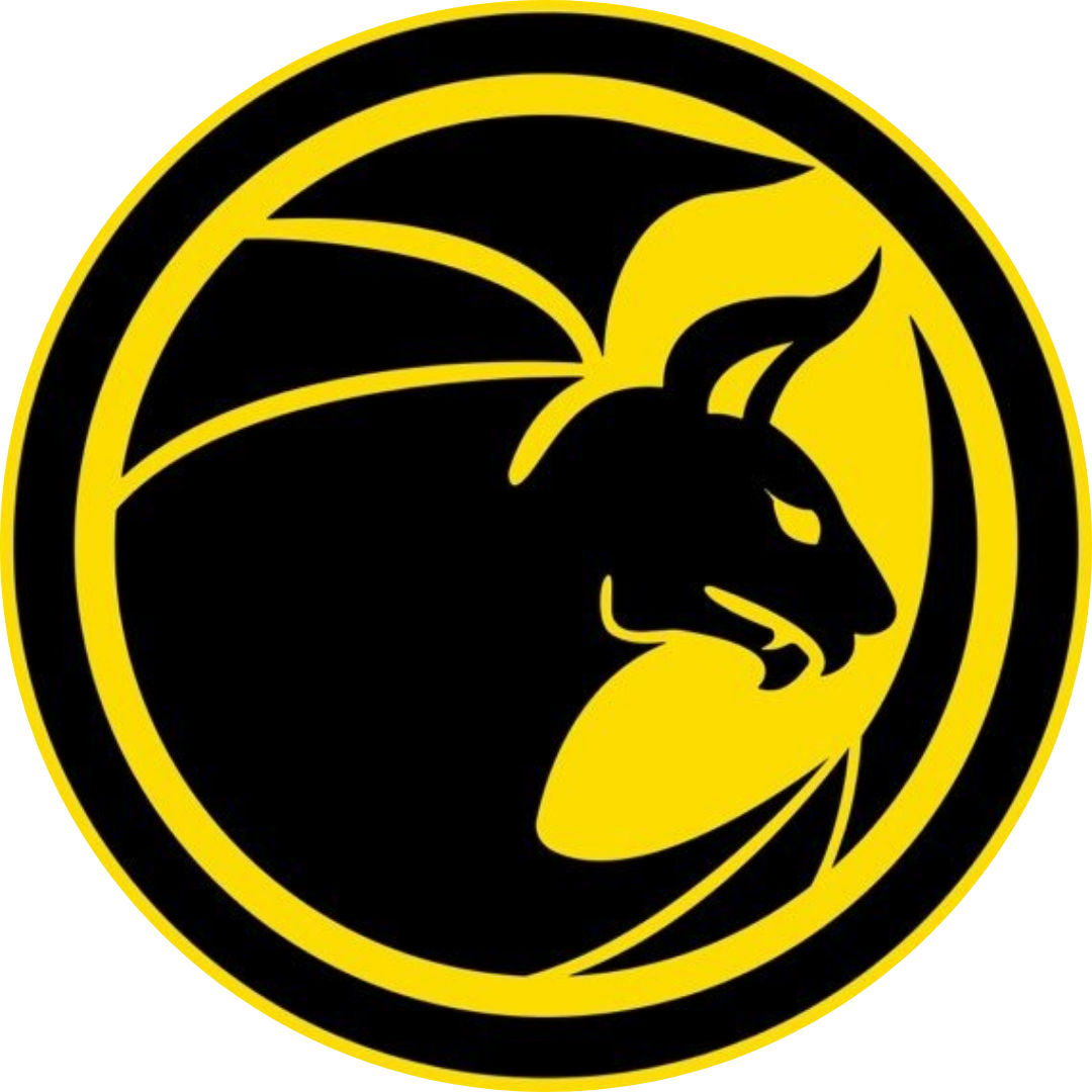 VALENCIA FIREBATS