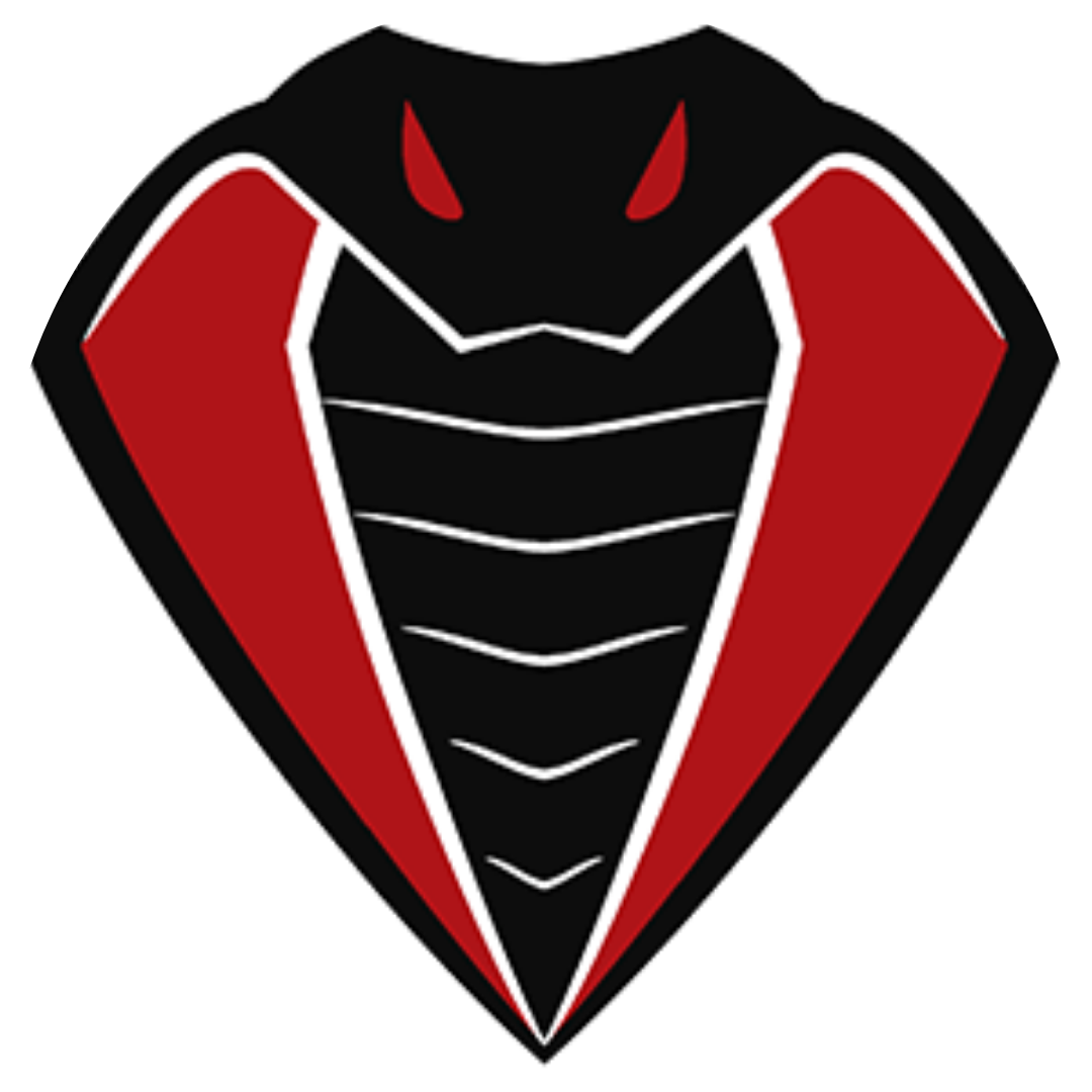 MURCIA COBRAS